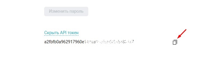 03 скопировать токен.jpg